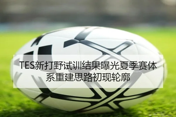 TES新打野试训结果曝光夏季赛体系重建思路初现轮廓（MILANSPORT）