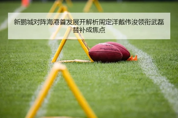 新鹏城对阵海港首发展开解析周定洋戴伟浚领衔武磊替补成焦点 - MILANSPORT